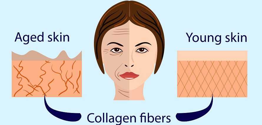 aging skin need for collagen and how to prevent aging