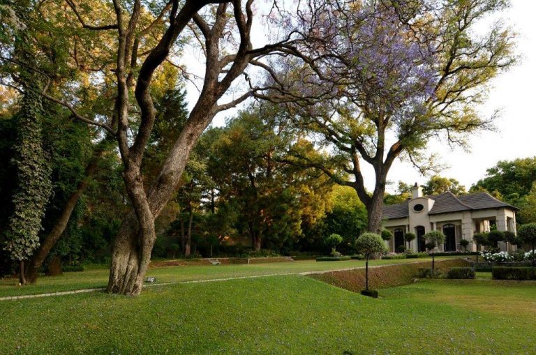 Inside The Beautiful Home Lerato Kganyago And Thami Ndlala Shared inside-the-beautiful-home-lerato-kganyago-and-thami-ndlala-shared