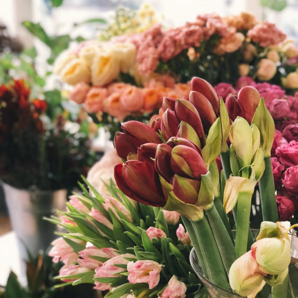 black-owned-flower-shops-in-new-york-city