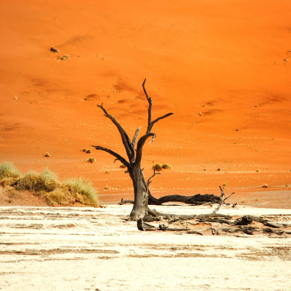 tourist-attractions-namib-desert