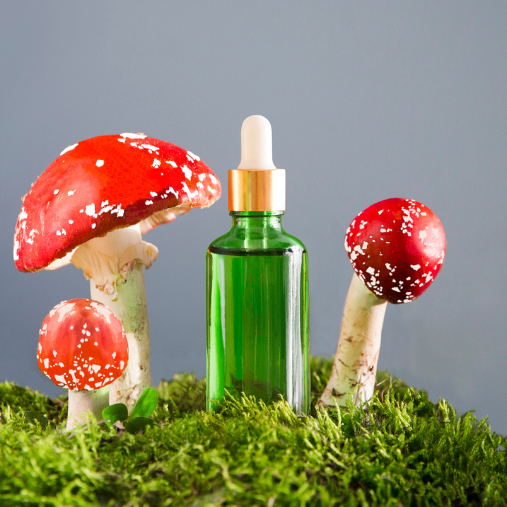 benefits-of-mushroom-for-skin-style-rave