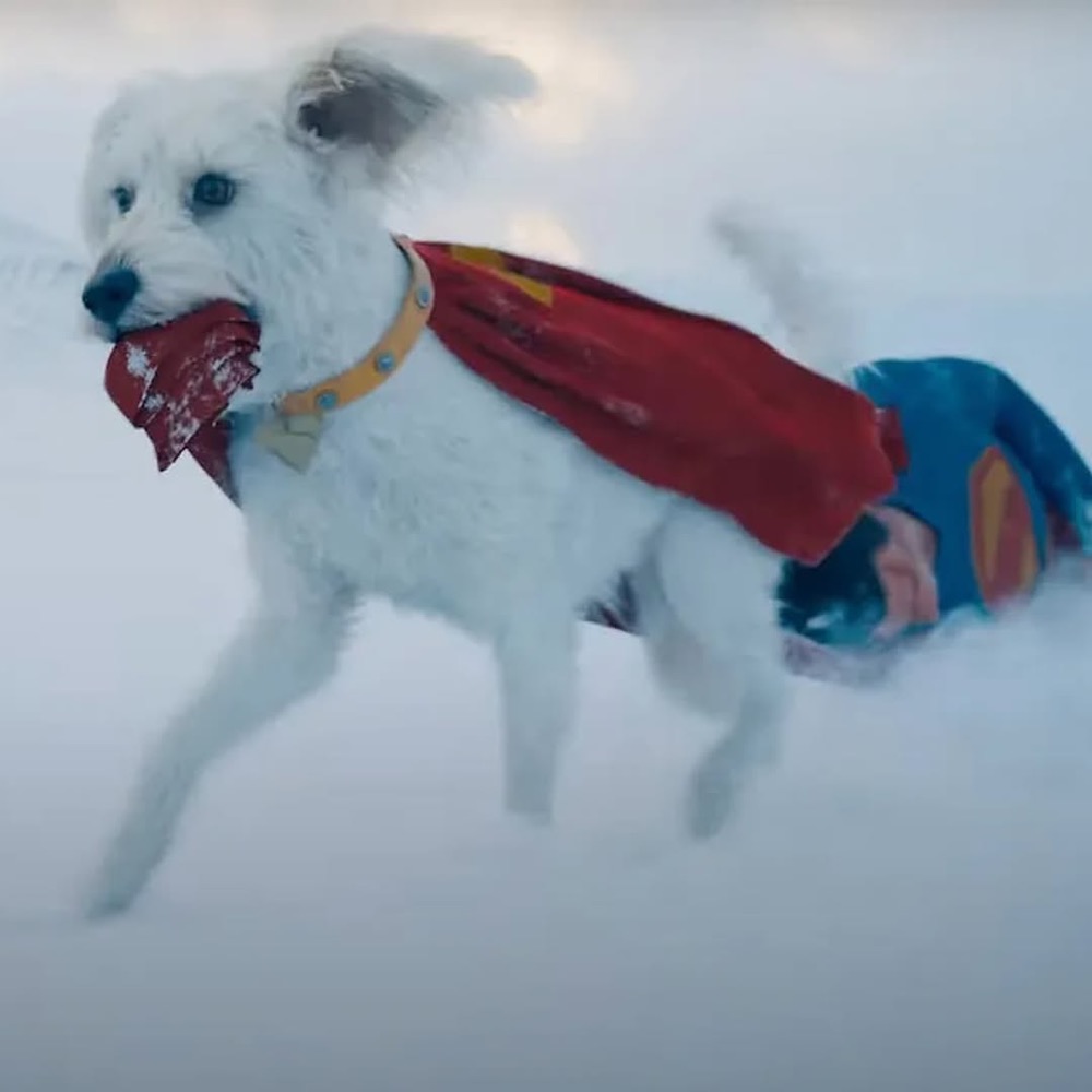 Krypto the Superdog-Style-Rave