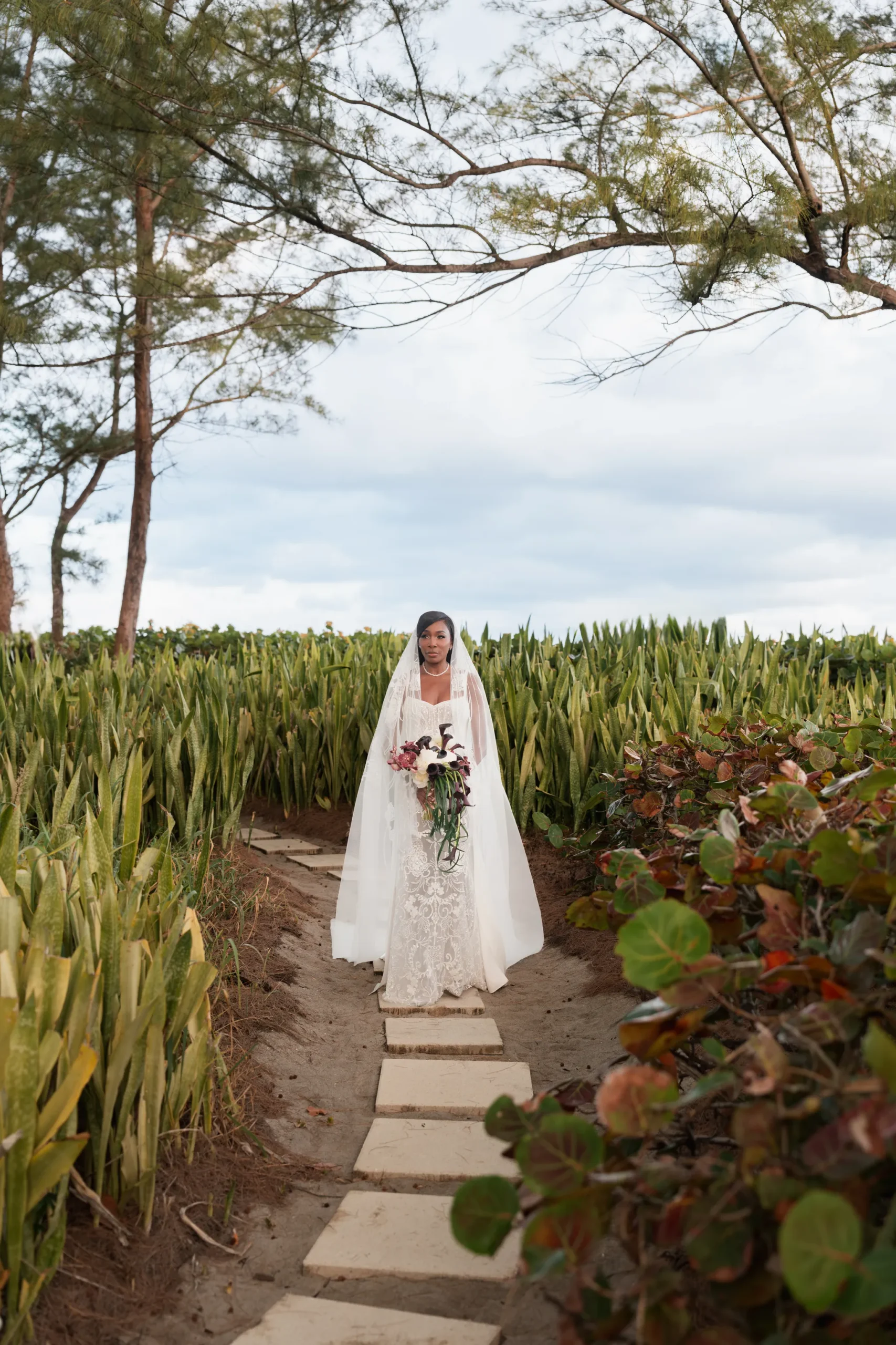 Венера-Уильямс-Андреа-прети-свадебный-рейв