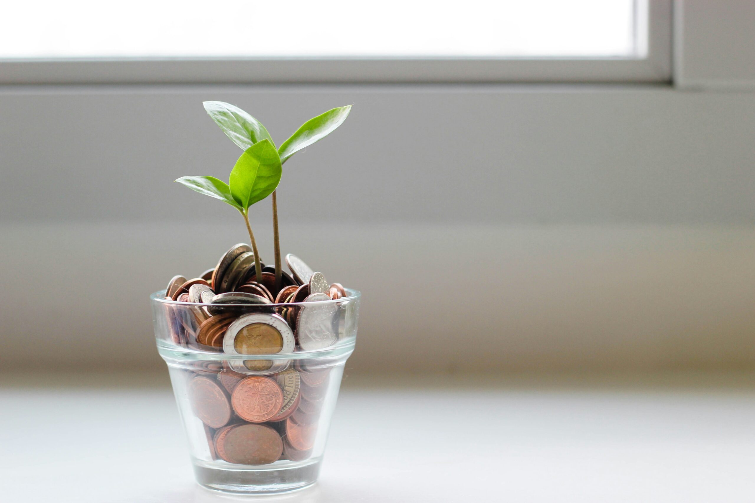 plant growing out of a cup with coins for money lifestyle upgrade