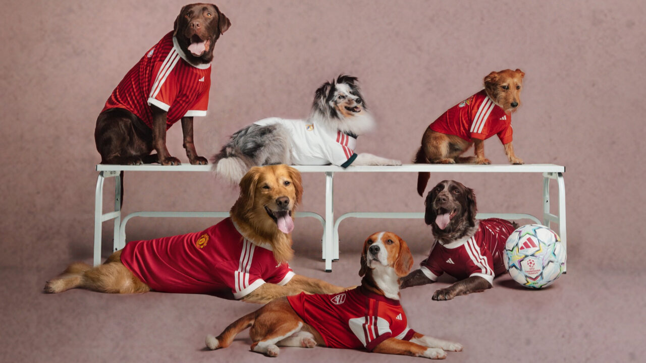 adidas-pet-collection-style-rave