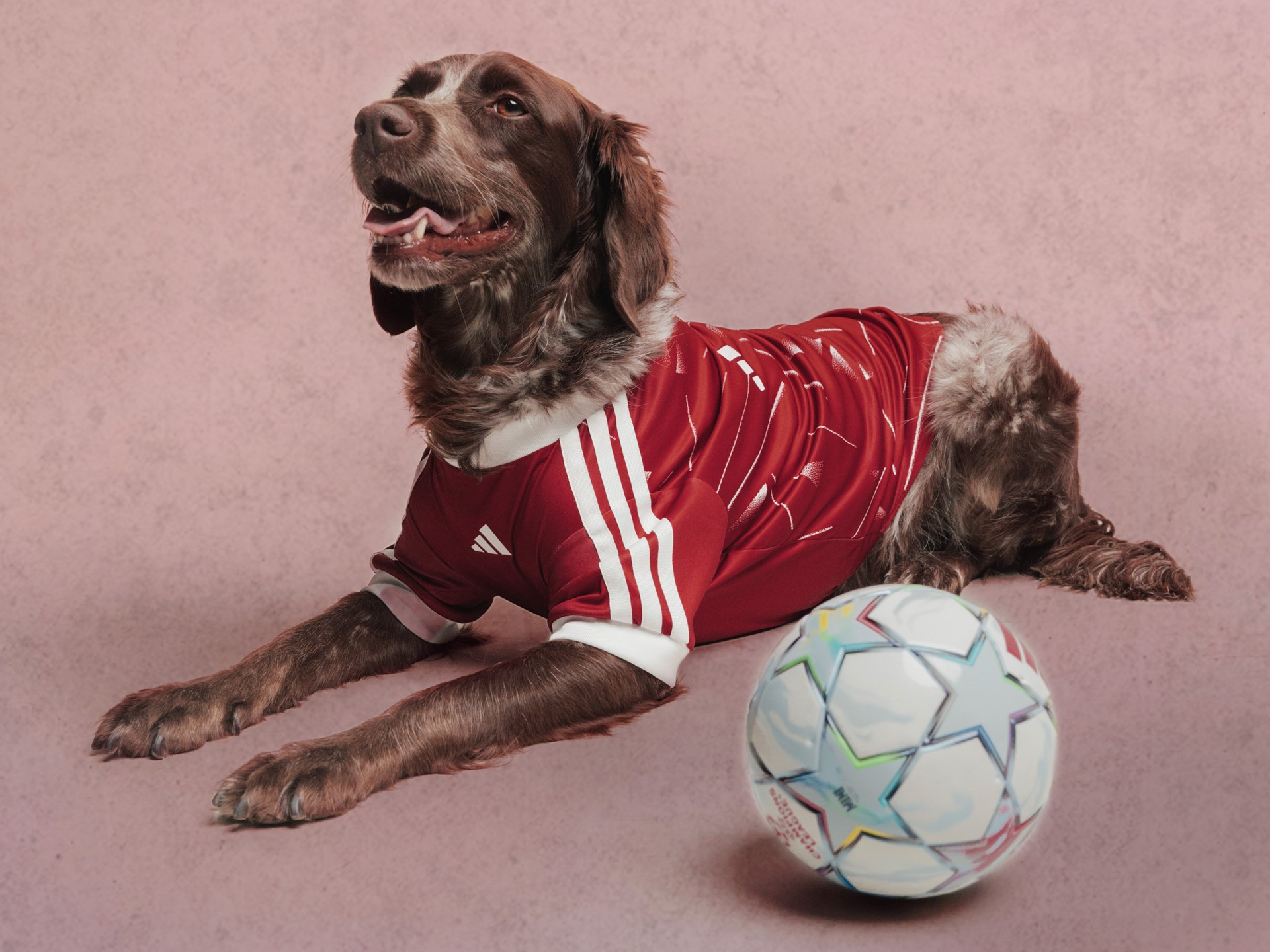 adidas-originals-fc-pet-collection-style-rave