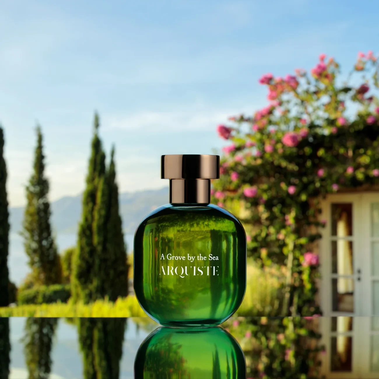 fougere-fragrance-style-rave